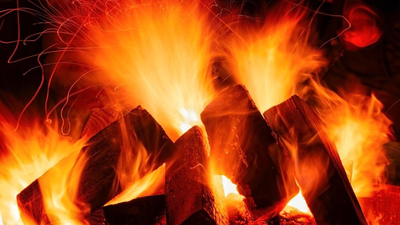 读者评论与用户热评 示意图